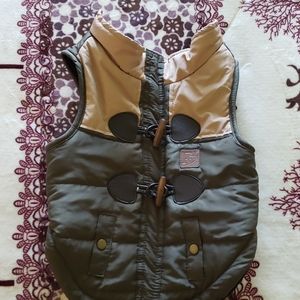 Dog vest